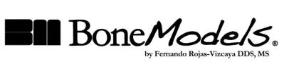 Bonemodels